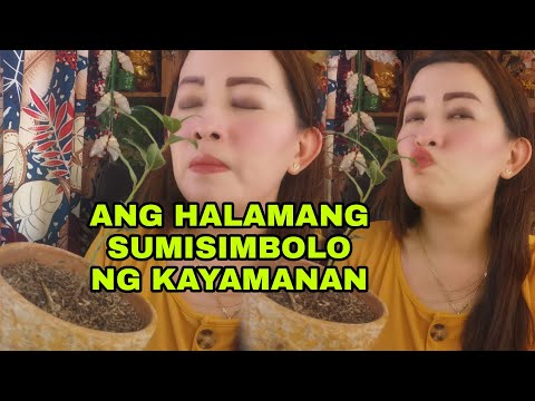 Video: Mga Halaman Para Sa Pag-akit Ng Kayamanan. Bahagi 1