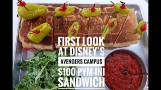 Disneyland's Avengers Campus $100 Pym-ini Sandwich | MyHealthyDish by MyHealthyDish 19,857 views 2 years ago 2 minutes, 18 seconds