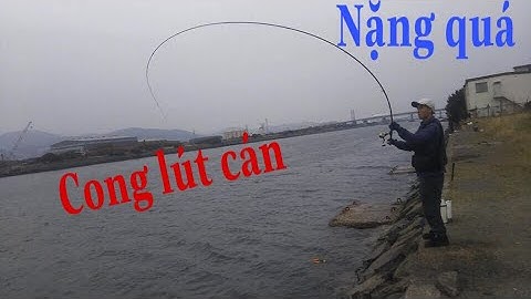 NDK Vlogs - Thử câu iso bằng phao chìm và phao nổi sẽ NTN - những con tráp biển khổng lồ.