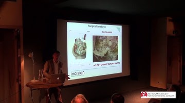 Theo Wiggers - E-learning and visualisation with 3D films as a tool for modern training in surgery