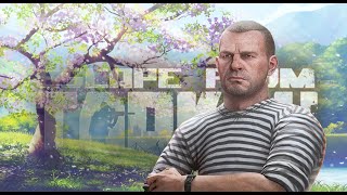 🌺50+ lvl | СТРИМ | Квесты #nats #escapefromtarkov