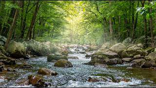 Earth Harmonic Frequency 20.8hz Schumann Binaural Beat, Flowing Creek, Ambient & Nature Sounds