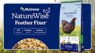 NatureWise Feather Fixer® | Premium Poultry Feed for Healthy, Happy Chickens