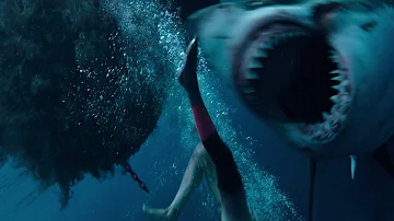 O que acontece no filme águas rasas?