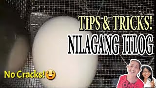 SweetLing Tips- Paano Mag Laga ng Itlog ng Hindi nag kaka Crack?