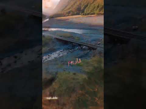 هلا ياخوي يالتسوة ملايين 