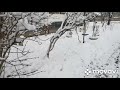 Зима в Одессе - 13 января 2021