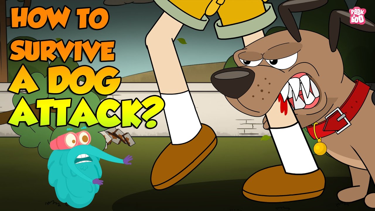 How To Survive A Dog Attack? | Preventing Dog Bites | The Dr Binocs Show | Peekaboo Kidz - YouTube