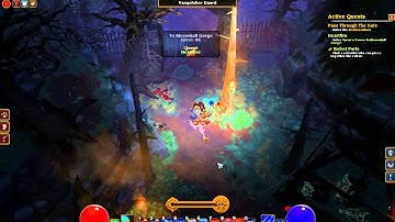 Torchlight 2: reaching level 100 :D