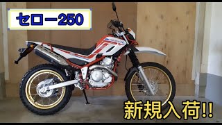 ヤマハ　セロー２５０　ファイナルエディション　２０２０年モデル　中古車　新規入荷　エンジン始動動画