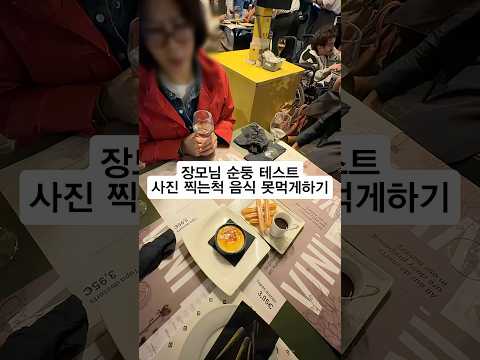일본인 사위가 하는 장모 테스트.... #shorts #스페인