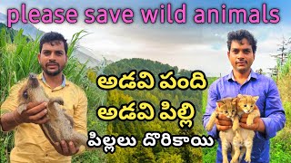 మనకు అడవి జంతువులు దొరికాయి || please save wild animals #pleasesavefarmers