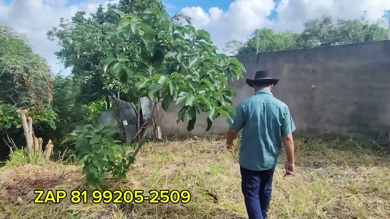 652 # o dono desistiu de vender Vitória de Santo Antão Pernambuco