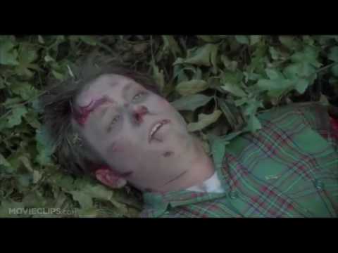 In a Dark, Dark Wood Book Trailer
