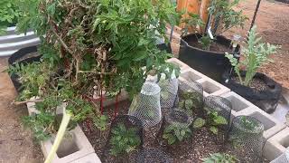 May 2024 Garden Tour