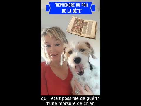 Reprendre du poil