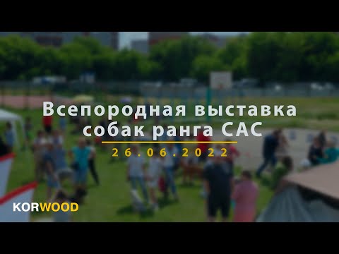KORWOOD | Всепородная выставка собак ранга САС (2022)