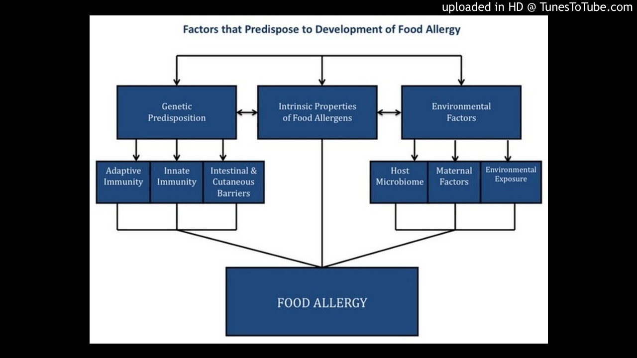 The Genetics of Food Allergy - YouTube