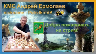 Щит Арена 5+0 #shorts #игры #chess #lichess #шортс #ermolaevchess на lichess.org