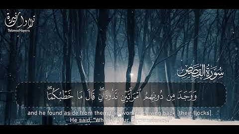 أرح مسامعك 🎧 بتلاوة عطرة ، من سورة القصص ، بصوت القارئ ريان المحيسني ، أستمع لكي يرتاح قلبك ،،