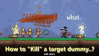 How to "Kill" a Target Dummy..?─ Taking -2147483648 damage, Using Teleporters, and dying in Terraria