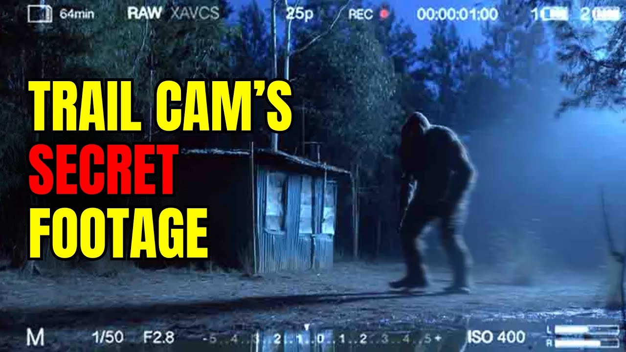 Trail Cam Caught Something Massive on 9/11