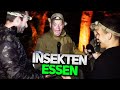 INSEKTEN ALS NAHRUNGSQUELLE! 😅 7 VS WILD TRAINING mit OTTO, MATTIN & ADAM 😱 Teil 4