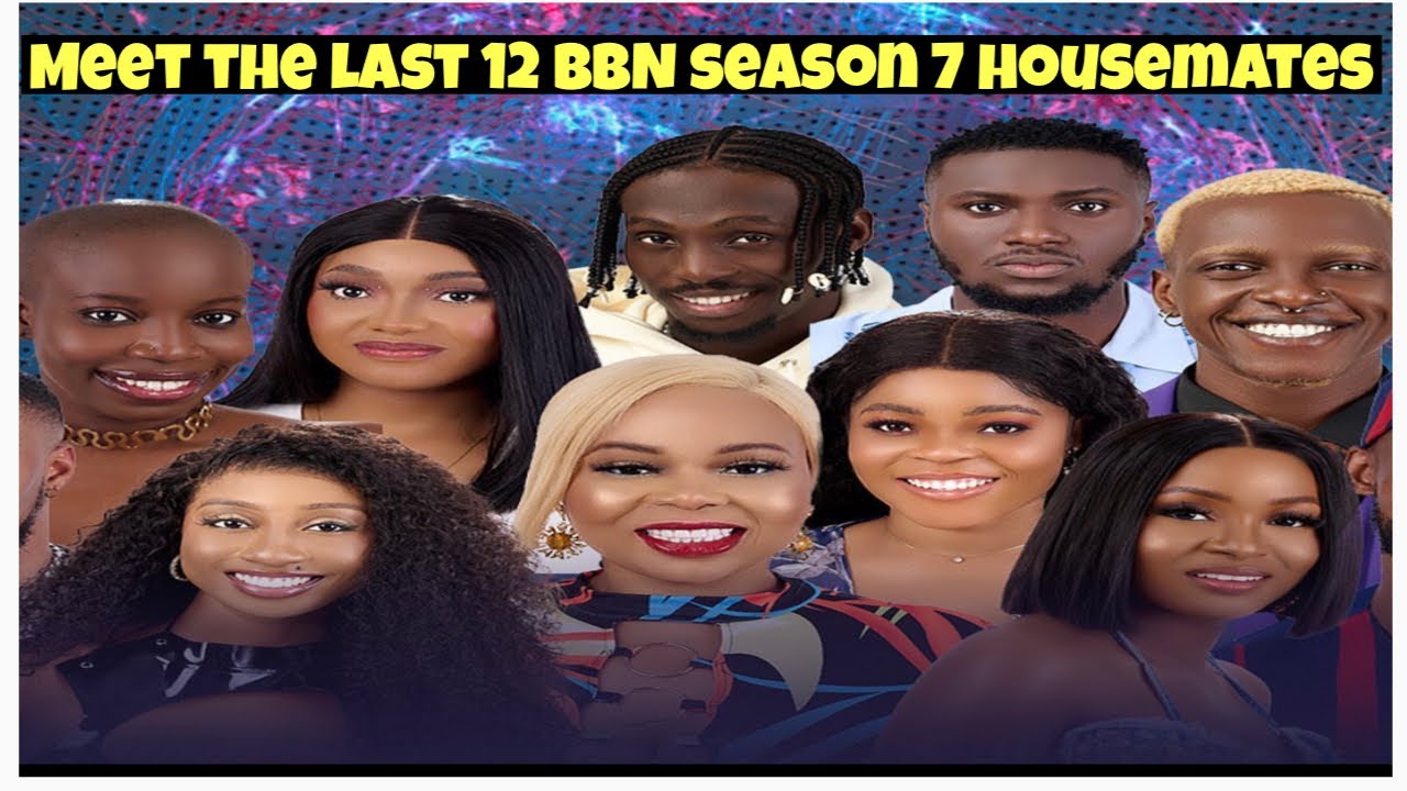 Big brother Naija season 7 last 12 housemates / level up housemates.