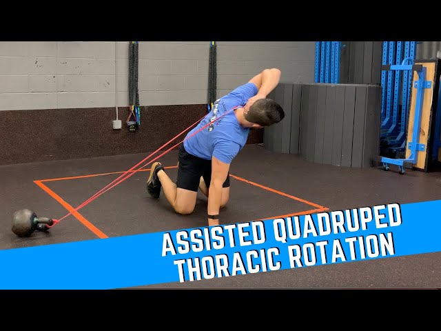 T Spine Rotation Quadruped Tspine Rotation Functional Movement Systems Quadruped