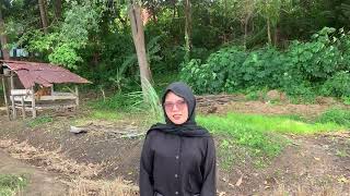 Tugas Akhir Bahasa Inggris “ Report Teks About The Rice Plant”    |Kelompok 7|