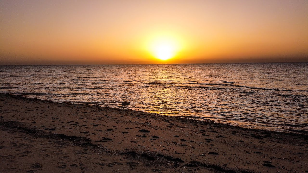 بحر الكويت kuwait sea 🌊🌊 YouTube