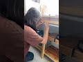 Необычный способ крепления шторок! 👍