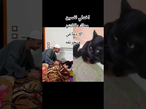 وانا كمان مش هتغطيني يابا الحاج هههههههه اضحك معانا وفك وفرفش ودوس اشتراك