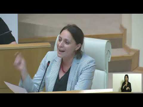 გადაეცით მაგ თქვენ სუს-ს და ბიძინა ივანიშვილის - ფეხებზე გვკიდია!  - ელენე ხოშტარია გახარიას