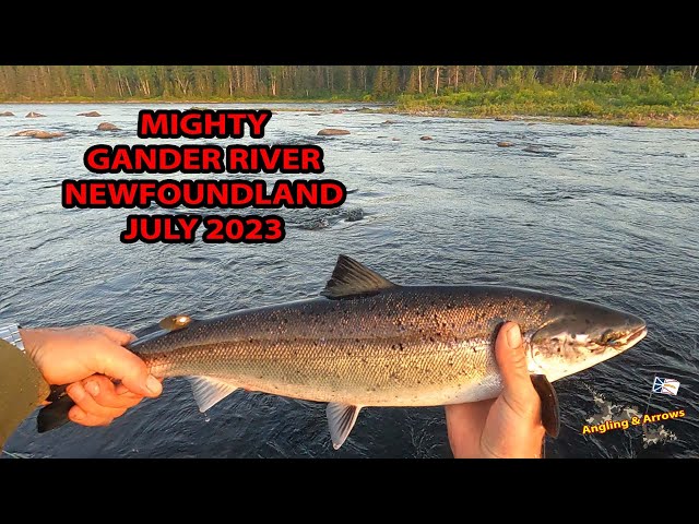 GANDER RIVER GRILSE, AN EVENING FISHING FOR SALMON ON 4TH POND BAR