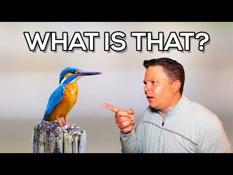 How To Use Google Lens On iPhone - Search What You See!