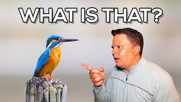 How To Use Google Lens On iPhone - Search What You See!