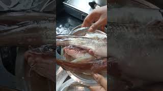 Today fish catching #food #cooking #shortsfeed