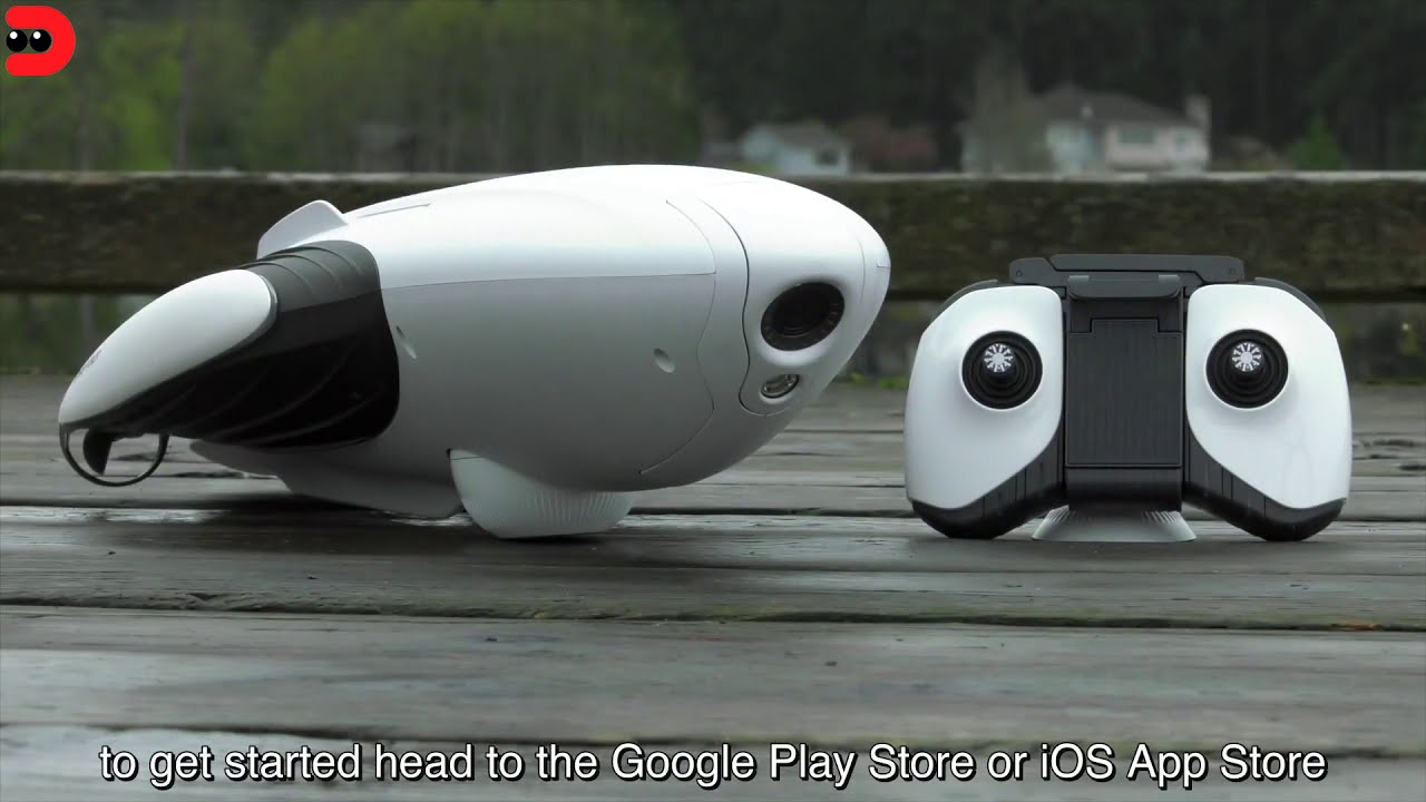 Подготовка и запуск PowerDolphin