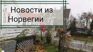 Новости из Норвегии. Водка, электричество и гувернантки.