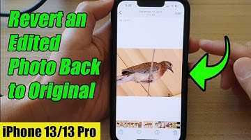 iPhone 13/13 Pro: How to Revert an Edited Photo Back to Original