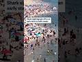 Shark sightings get off to an early start on both coasts