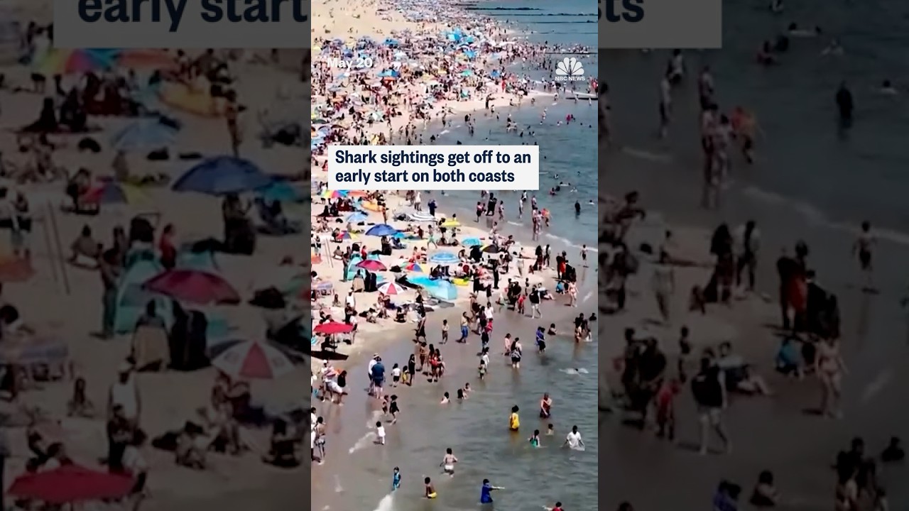 Shark sightings get off to an early start on both coasts