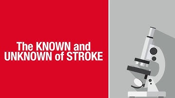 What Causes Stroke Animated Video HD