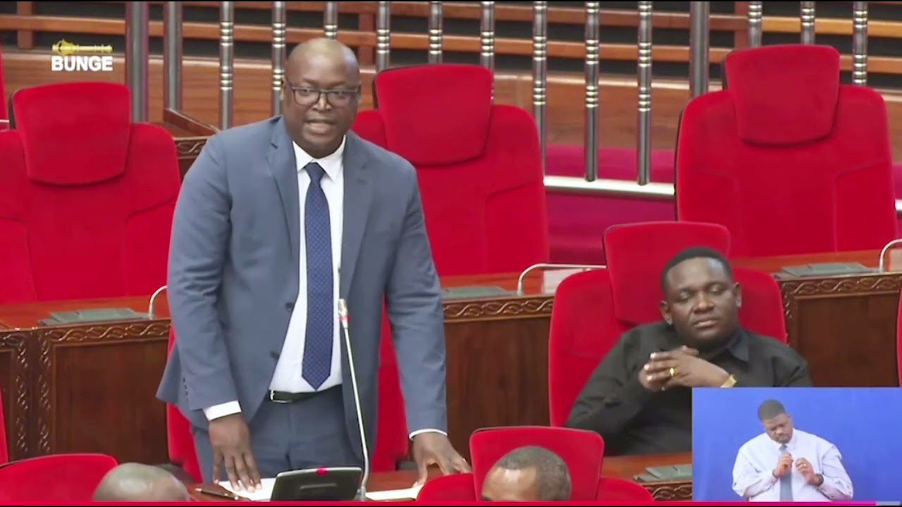 NAIBU WAZIRI LONDO AKICHANGIA HOJA BUNGENI DODOMA