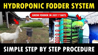 Hydroponic Fodder System | Hydroponic fodder for Cows, Goats, Buffaloes, Sheep, Chicken and Pigs