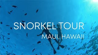HAWAII HONEYMOON // Snorkel tour