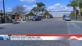 Kern deputies shoot 2 dogs to stop attack, killing 1 of them