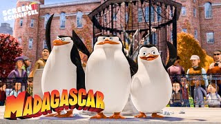 Das Beste von den Pinguinen | Madagascar | Screen Schnipsel