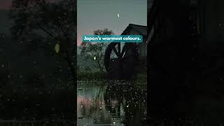 This hidden Japan will make you want to book a flight #japantravel #aesthetic #shorts #osaka screenshot 5